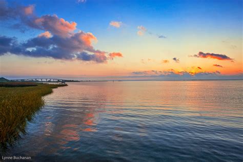 Lynne Buchanan's Photography Blog: Apalachicola Bay: The Nursery for ...