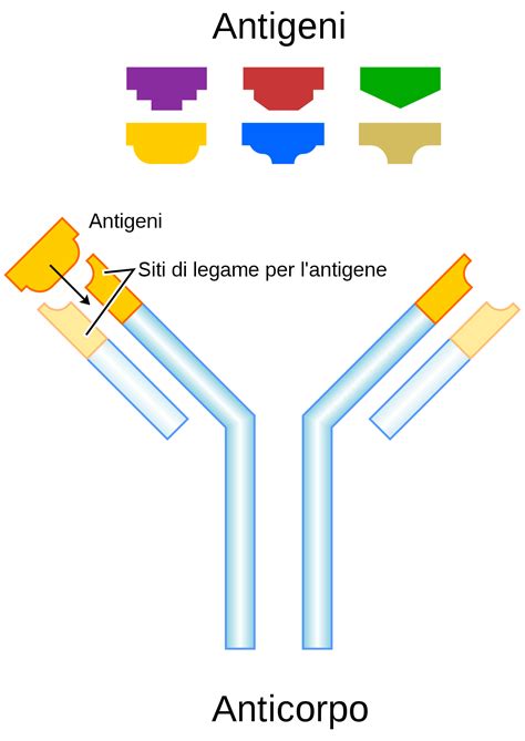 Le difese specifiche - Microlearning