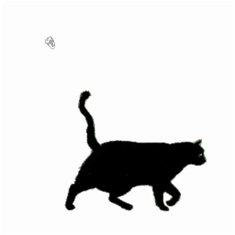 Cat Drawing GIFs - Find & Share on GIPHY