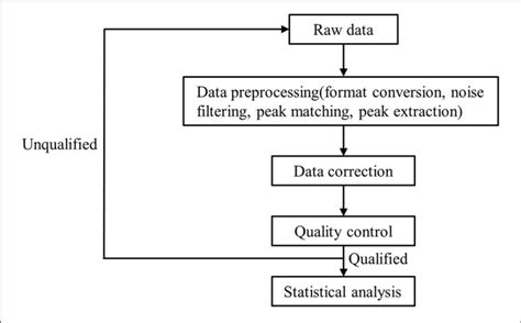 | The flow chart of raw data processing. | Download Scientific Diagram