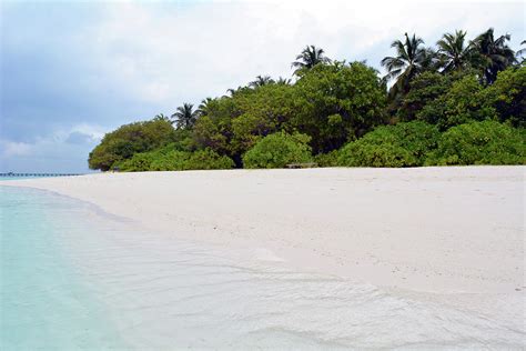 Beautiful island in the Maldives with clear blue water and vegetation ...