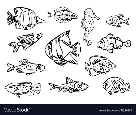 Fish line art set Royalty Free Vector Image - VectorStock