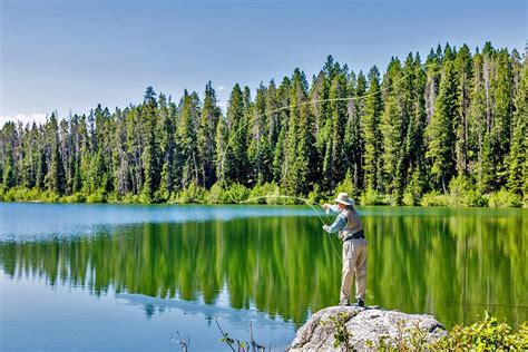 12 Top-Rated Fly Fishing Destinations in Wyoming | PlanetWare