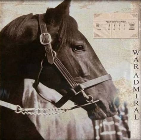 War Admiral - Triple Crown Winner born 1934 but still remembered as a ...