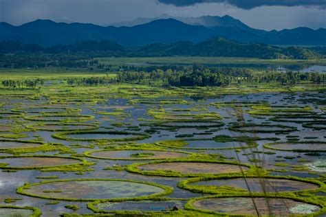 The World's Only Floating National Park is Under Threat | Discover Magazine