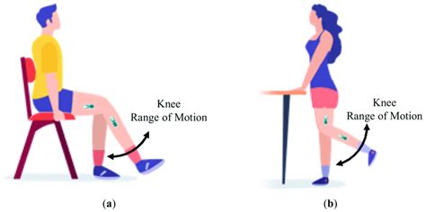 Schematic representation of: (a) long arc quad exercises and (b ...