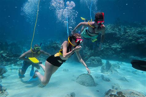 Tour Snorkeling - Tours y Actividades en San Andrés