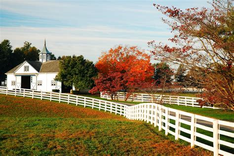 18 Lovely Things to Do in Lexington KY (+ Nearby Attractions)