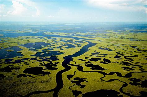 55 Reasons Why the Florida Everglades are Special — Destination: Wildlife™