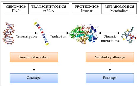 Proteomics and Metabolomics in Aortic Stenosis: Studying Healthy Valves ...