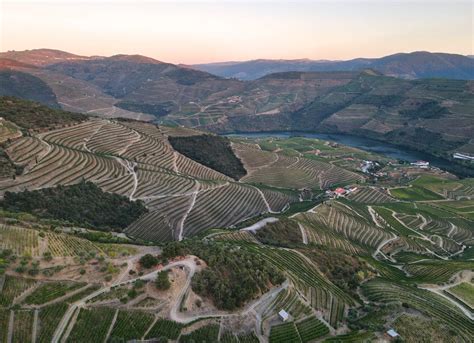 The 10 Absolute Best Wine Regions in the World