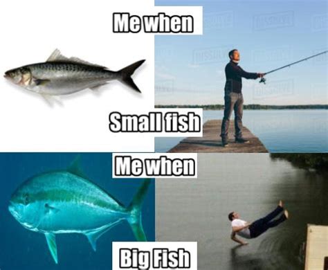 Cool fishing meme : r/Fishingmemes