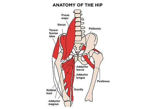 Flex Those Flexors: 3 Steps To Powerful Hips