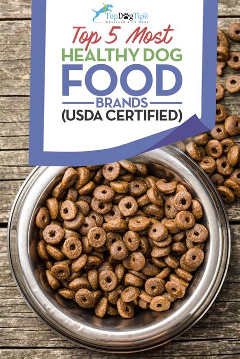 Top 5 Most Healthy Dog Food Brands in 2017 (USDA Organic Certified)