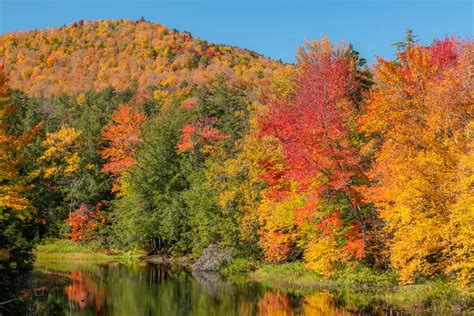 Adirondack Fall Foliage 2024 - Alika Beatrix