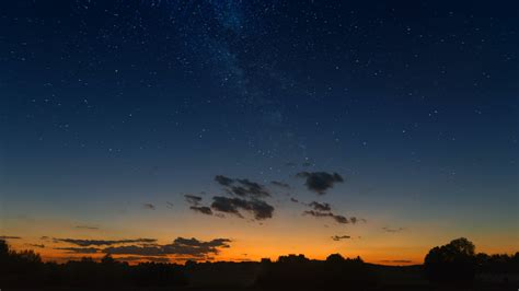 Schattenbild Der Bäume Unter Sternenklarer Nacht · Kostenloses Stock Foto