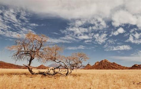 African Landscape Stock Photos, Images and Backgrounds for Free Download