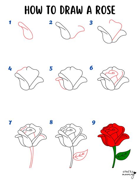 How to Draw a Rose Step by Step (Easy) - Crafty Morning