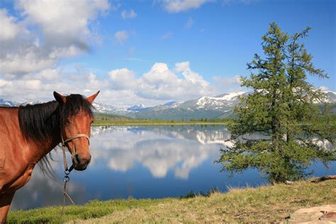 Lena Pillars - new point in the UNESCO World Heritage List - Russia Beyond