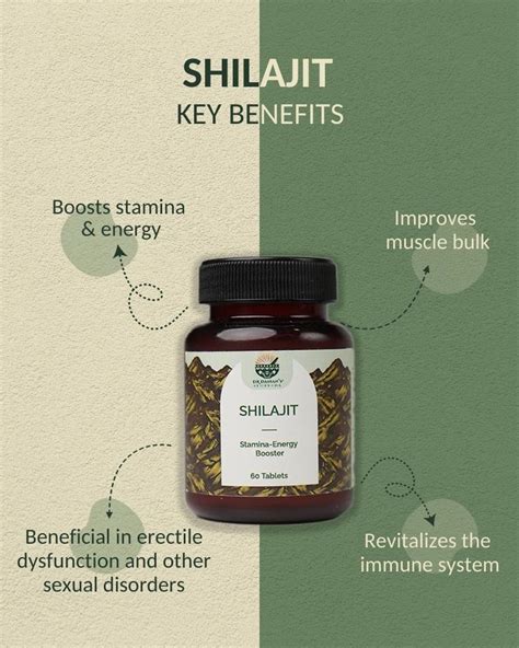 Ayurvedic Shilajit Tablets | Buy Shilajit Tablets Online