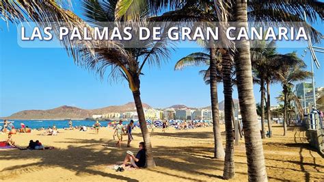 Las Palmas de Gran Canaria - Beach walking tour of Playa Las Canteras ...