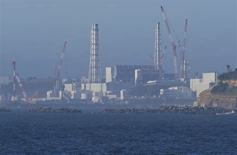 Reaction to Japan's release of water from Fukushima nuclear plant | Reuters