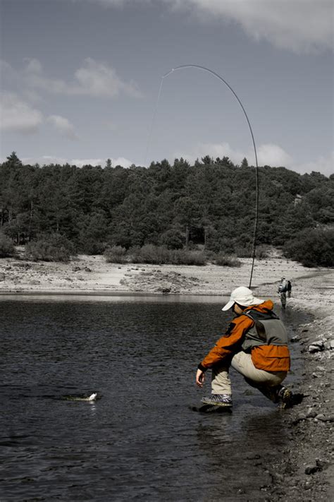 Best Fly Fishing Techniques