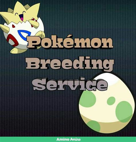 Pokemon breeding requests | Pokémon™ Gaming Amino