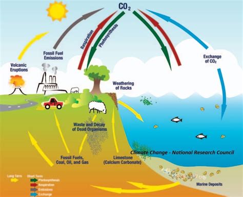 Pada Proses Terjadinya Efek Rumah Kaca Gas Co2 Menyebabkan - Homecare24