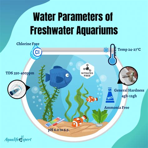 Everything about Water Parameters of Freshwater Aquariums - Aqua Life ...