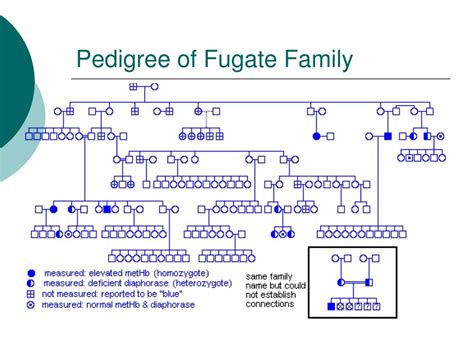 PPT - Methemoglobinemia: The real cause of the Blue People of Kentucky ...