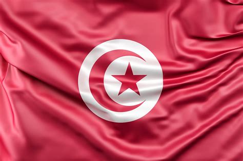 The fourth anniversary of the Tunisian Constitution: The unfinished ...