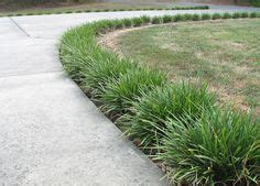 love the monkey grass lined pathway Lawn Edging, Driveway Edging ...