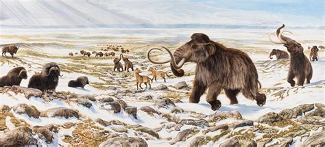 Ice Age Animals | Yukon Beringia Interpretive Centre