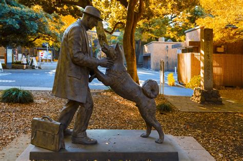 Hachiko: The World’s Most Loyal Dog | Gimundo: The Brighter Side