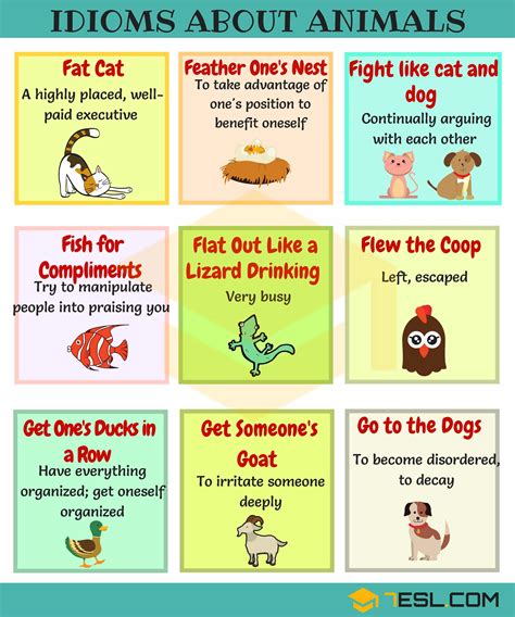 Animal Idioms: 165 Useful Animal Idioms from A-Z • 7ESL