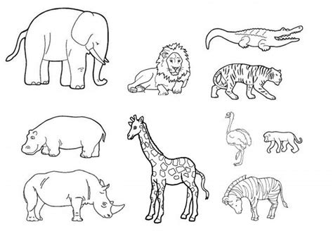 Coloriage animaux de la jungle | Enligne