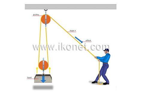 science > physics: mechanics > double pulley system image - Visual ...