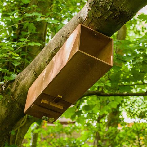 Tawny Owl Nest Box | The Nestbox Company