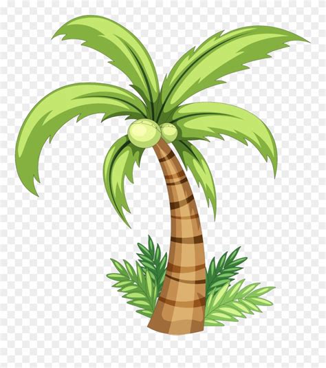 Drawing Clipart Coconut Tree