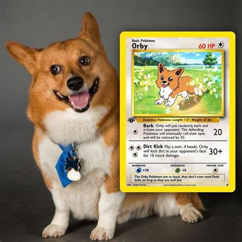 Pets become Pokemon Cards due to artist's imagination