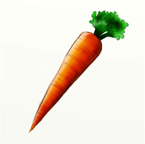 How to Draw a Carrot - FeltMagnet - beplay88体育