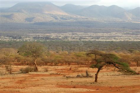 African Savanna. View of african savanna in tsavo west national park ...