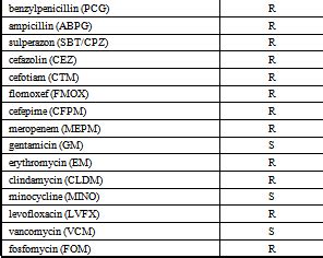 Table 2. Susceptibility to antibiotics of the cultured Corynebacterium ...