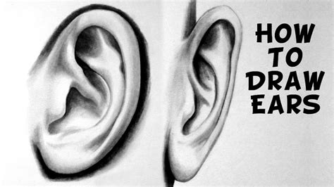 How To Draw Realistic Ears - Considerationhire Doralutz