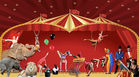 Big Top Beginnings - Circus - Spotlight Kids NY