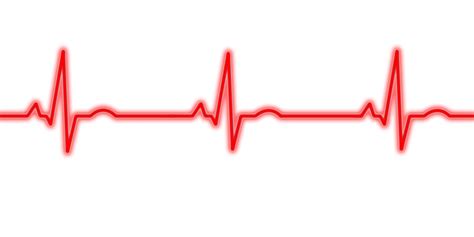 Ekg Clipart Ekg Strip Ekg Ekg Strip Transparent Free For Download On ...