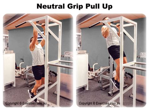 Neutral Grip Pull Up is an effective exercise for targeting the entire ...