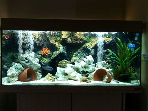 Most Beautiful Freshwater Tanks ( All Time ) - Page 4 | RateMyFishTank ...