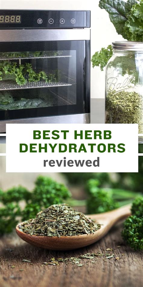 6 Best Dehydrators for Herbs in 2024 Reviewed